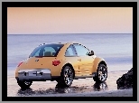 Volkswagen New Beetle